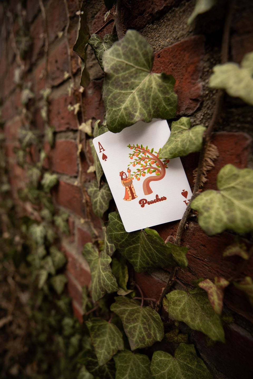 Peach Playing Cards