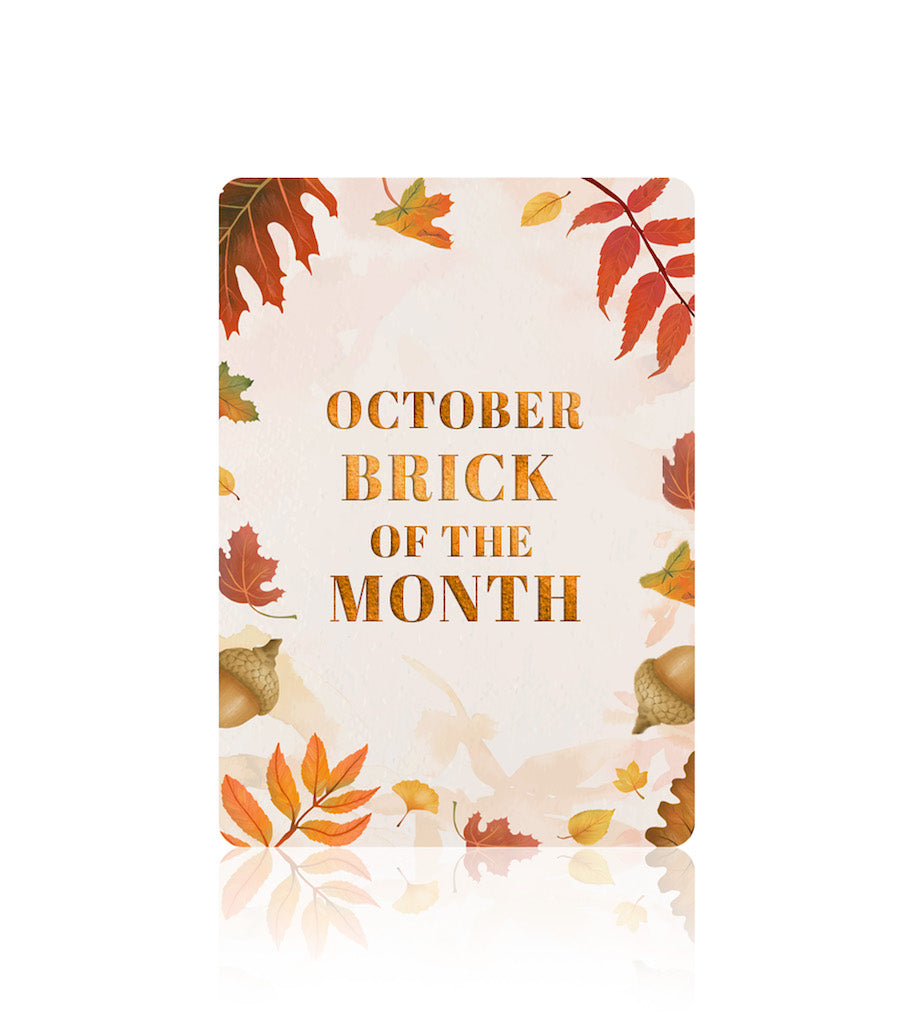 Brick of the Month